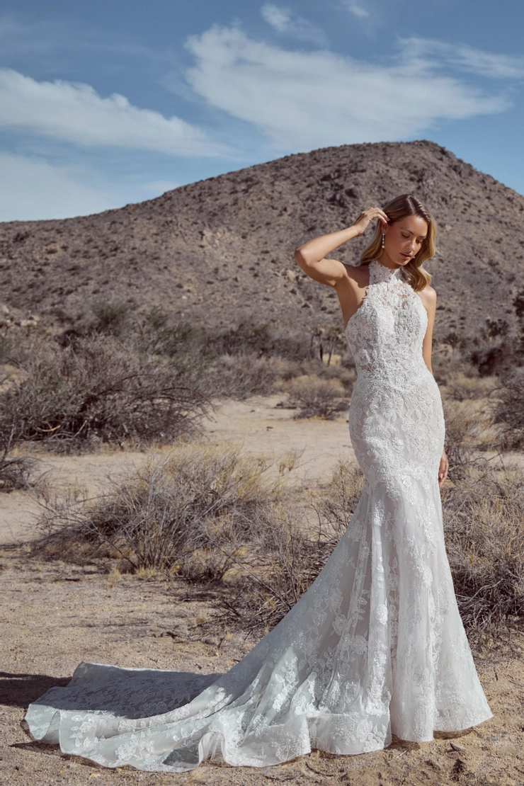 Calla Blanche Style #126118 #1 frontface vertical picture