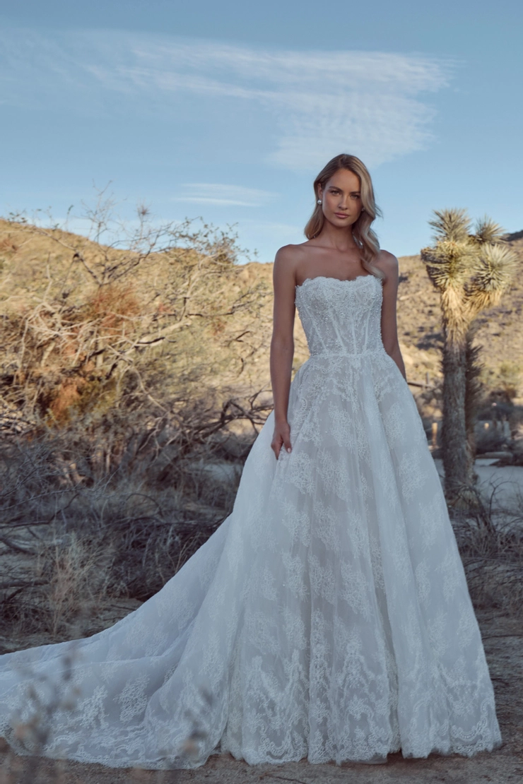 Calla Blanche #126119 Default Thumbnail Image