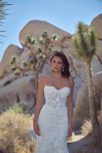 Calla Blanche 126120 #2 frontface vertical cropped thumbnail