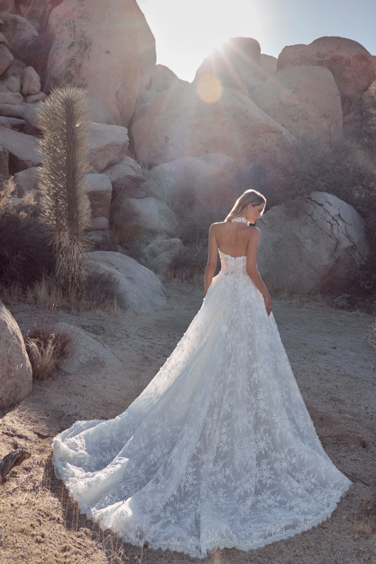 Calla Blanche 126121