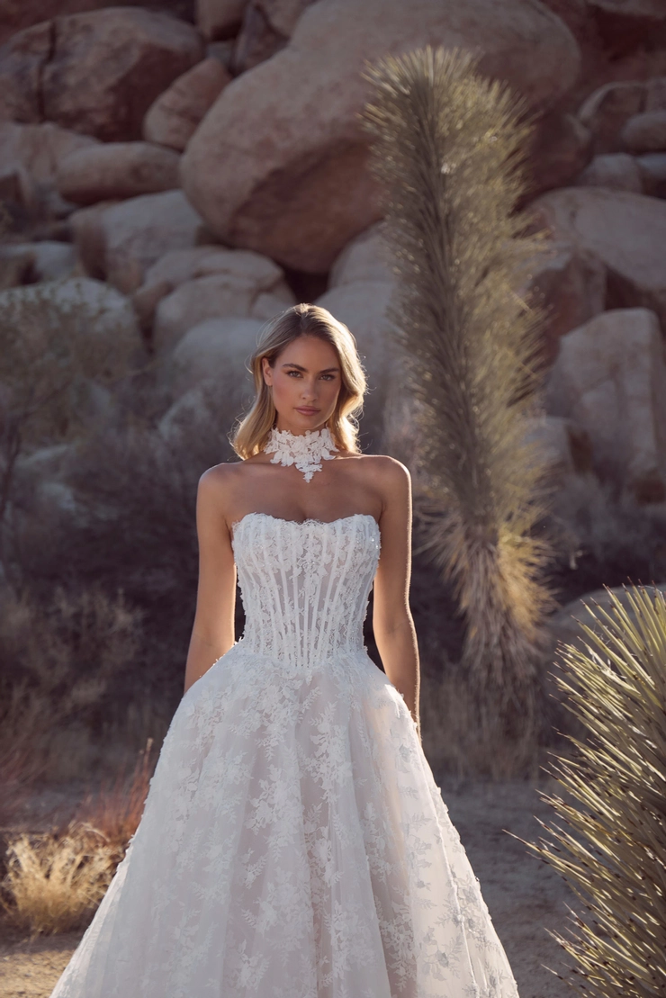 Calla Blanche 126121