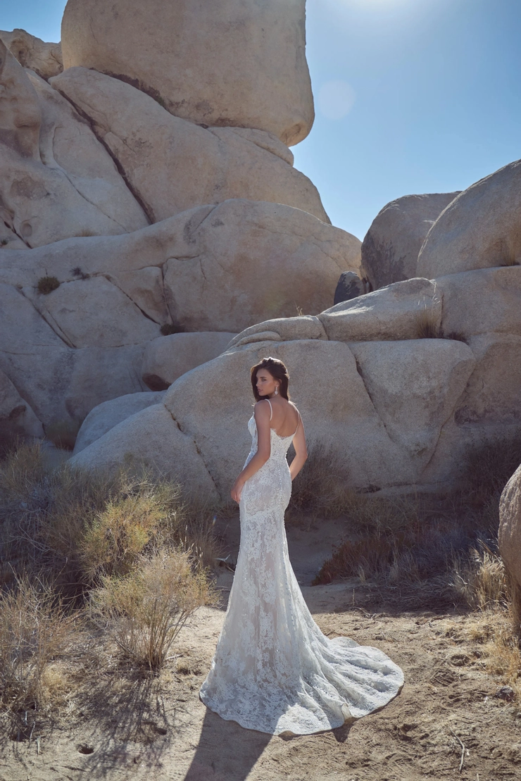 Calla Blanche 126122