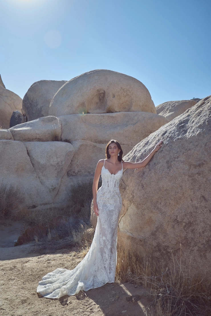 Calla Blanche #126122 Default Thumbnail Image