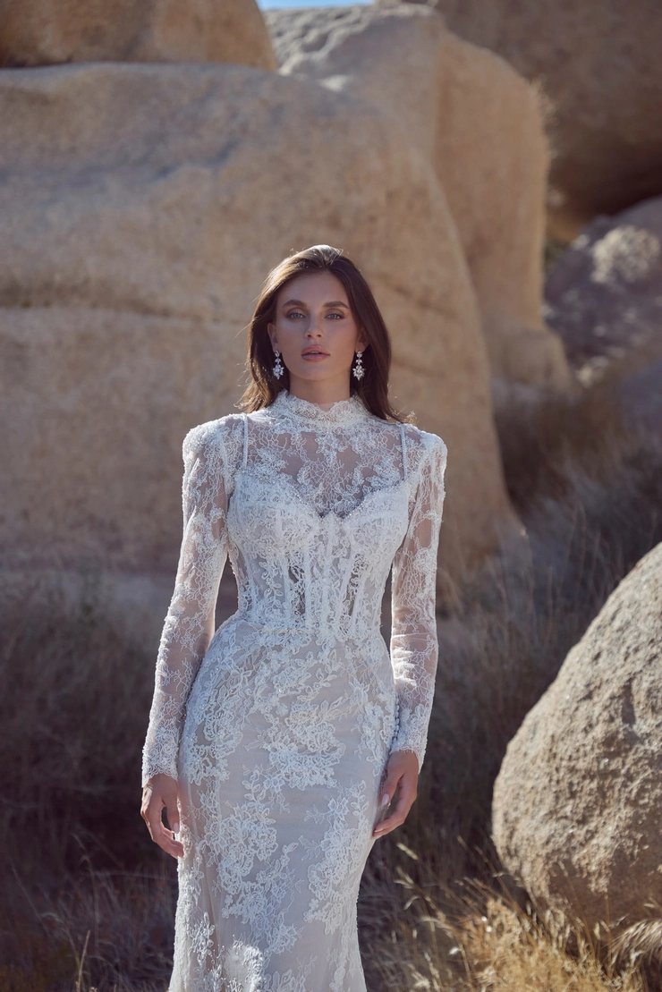 Calla Blanche 126122