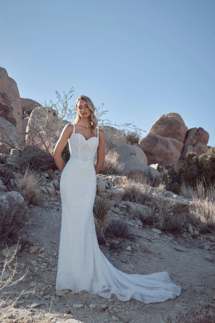 Calla Blanche #126125 Default Thumbnail Image