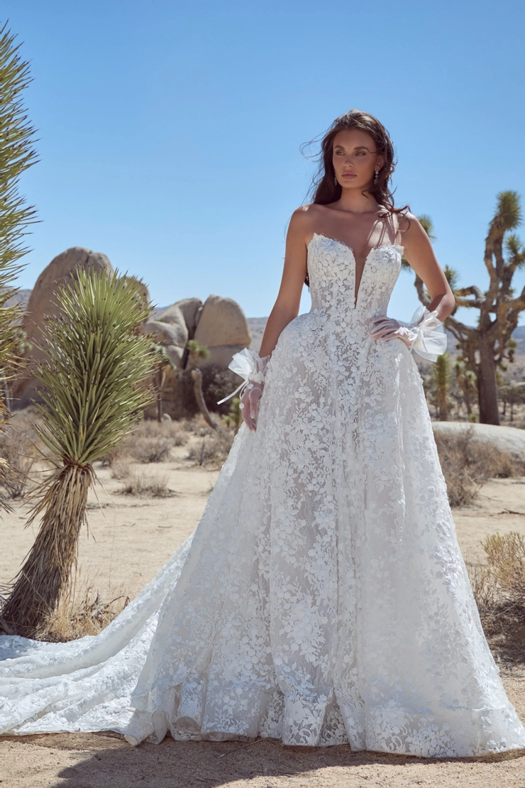 Calla Blanche #126126 Default Thumbnail Image