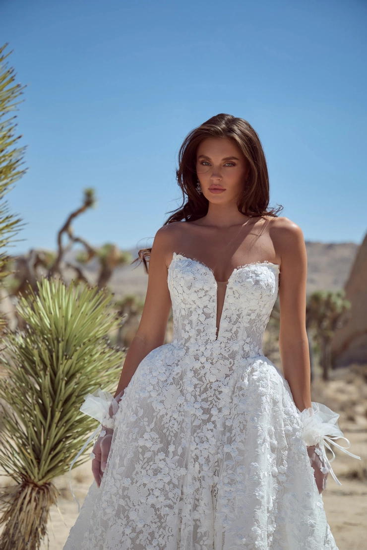 Calla Blanche 126126