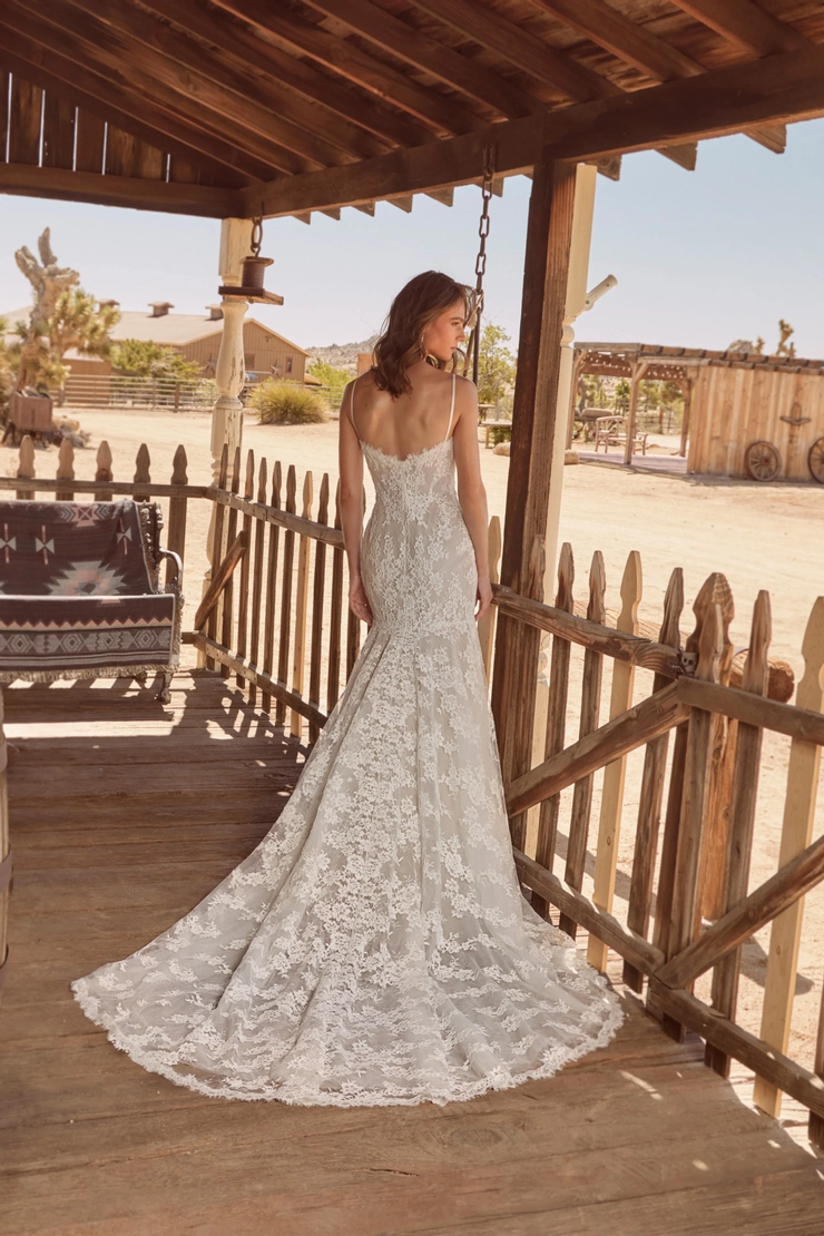 La Perle by Calla Blanche Style #LP2611 #1 default backface vertical picture