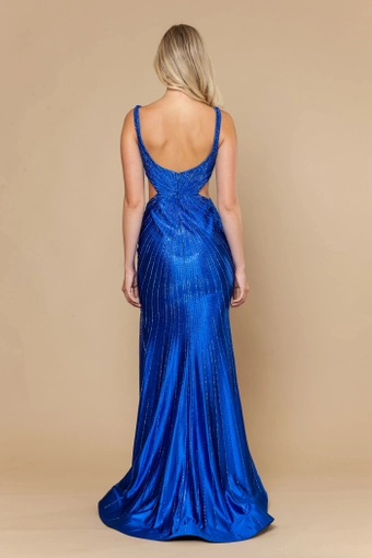 Poly USA 25026 #10 default Royal backface vertical thumbnail