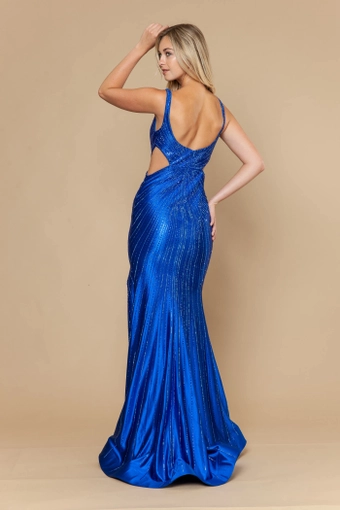 Poly USA 25026 #9 Royal backface vertical thumbnail