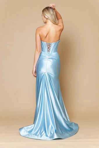 Poly USA 25034 #10 Blue backface vertical thumbnail