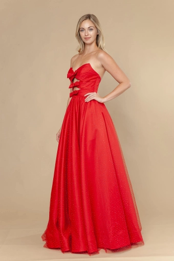 Poly USA 25036 #10 Red frontface vertical thumbnail