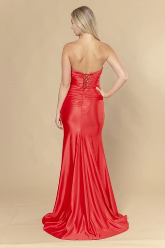 Poly USA Style #25050 #10 Red backface vertical thumbnail