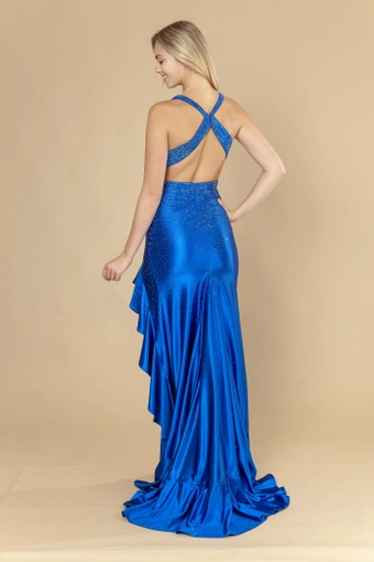 Poly USA Style #25070 #16 Royal backface vertical thumbnail