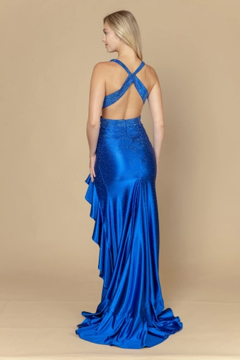 Poly USA Style #25070 #20 Royal backface vertical thumbnail