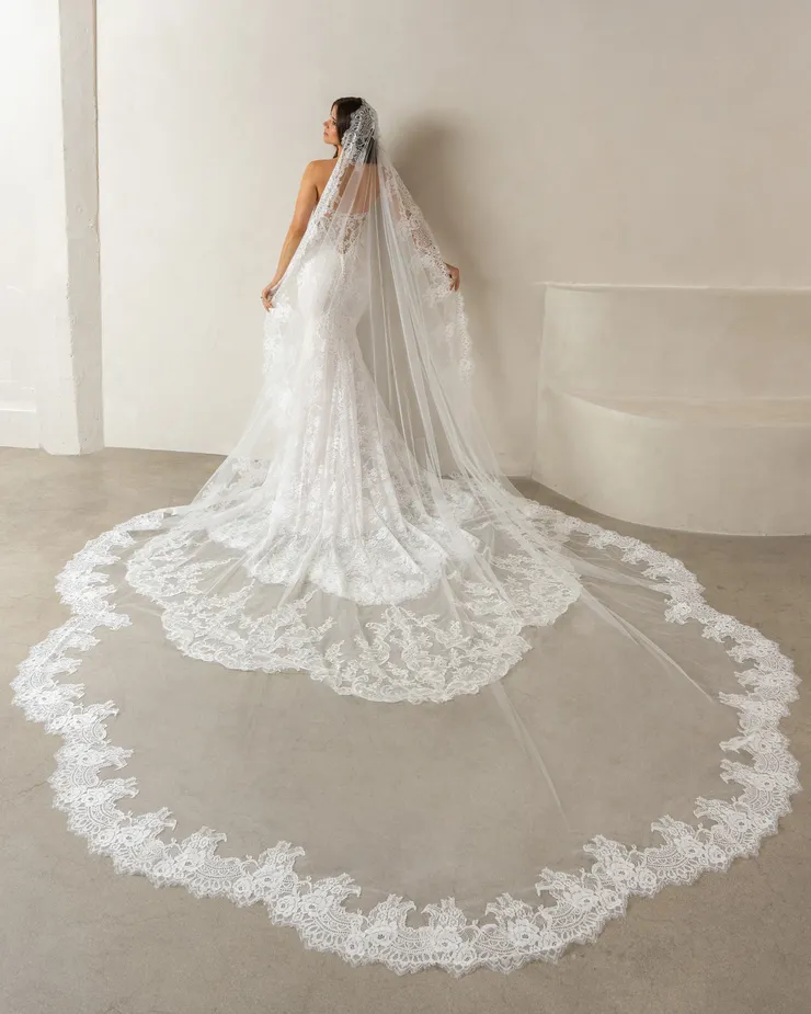 Kitty Chen Astra H2635