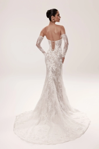 Dany Tabet #Amira #3 default backface vertical thumbnail