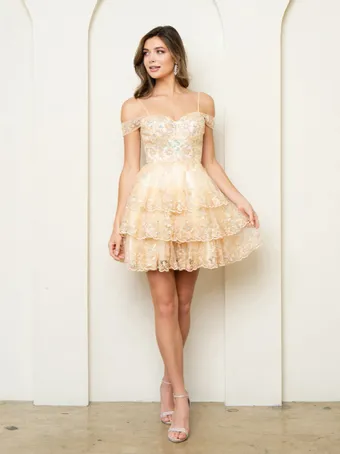 Boutique Collection Preview 5288 #3 frontface vertical thumbnail