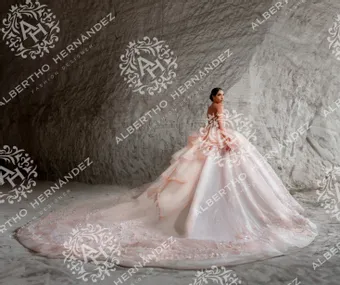 Albertho Hernandez Era 1207 #2 backface thumbnail