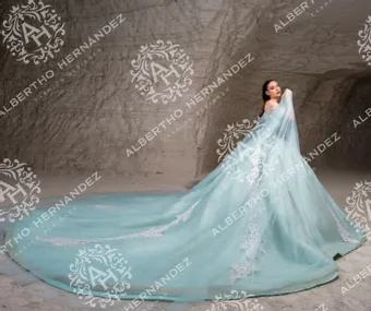 Albertho Hernandez Era 1304 #2 backface thumbnail