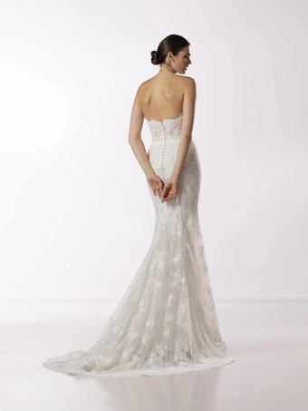 VALENTINI SPOSE  V1420 #2 default backface vertical thumbnail