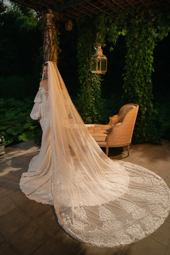 Mistrelli Style #Valencia #3 default backface vertical thumbnail