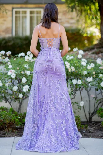 Cinderella Couture 8079J #10 backface vertical thumbnail