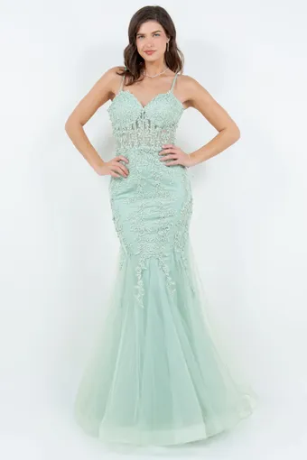 Cinderella Couture 8175J #2 frontface vertical thumbnail