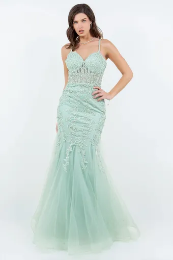 Cinderella Couture 8175J #5 frontface vertical thumbnail