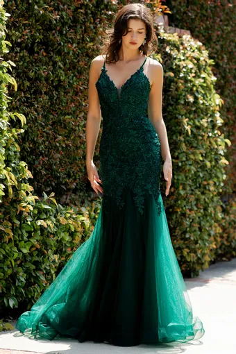 Cinderella Couture 8178J #0 default frontface vertical thumbnail