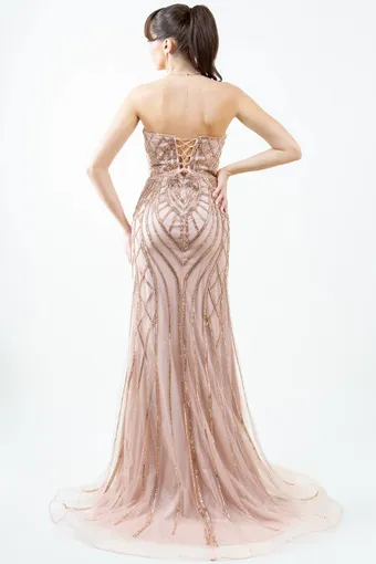 Cinderella Couture 8221J #8 backface vertical thumbnail