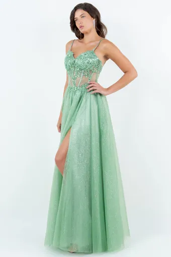 Cinderella Couture 8238J #1 frontface vertical thumbnail