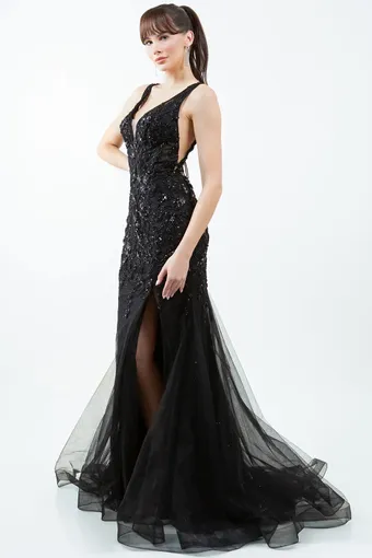 Cinderella Couture 8241J #9 frontface vertical thumbnail