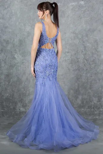 Cinderella Couture 8241J #10 backface vertical thumbnail