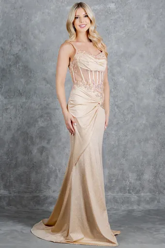 Cinderella Couture 8254J #2 frontface vertical thumbnail