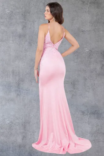 Cinderella Couture 8255J #9 backface vertical thumbnail