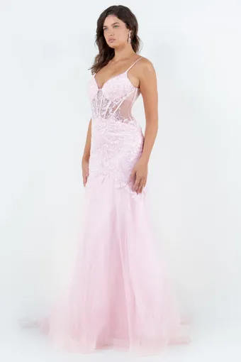 Cinderella Couture 8276J #2 frontface vertical thumbnail