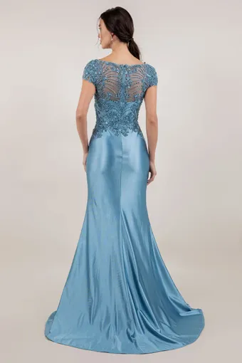 Cinderella Couture 8513M Embo Lace Satin Drape #6 default backface vertical thumbnail