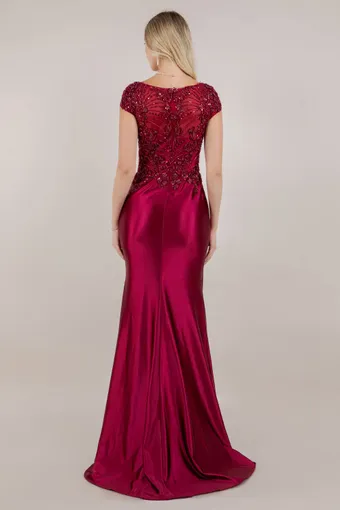 Cinderella Couture 8513M Embo Lace Satin Drape #5 backface vertical thumbnail