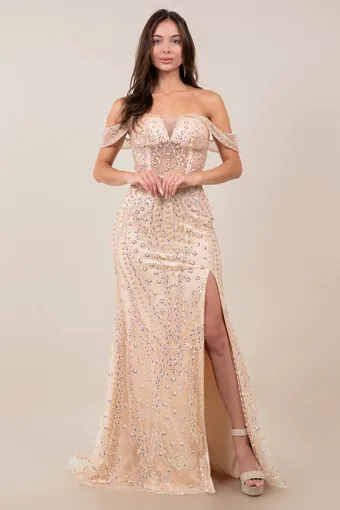 Cinderella Couture 8516J Rhiestone Glam Tulle Gown #9 frontface vertical thumbnail