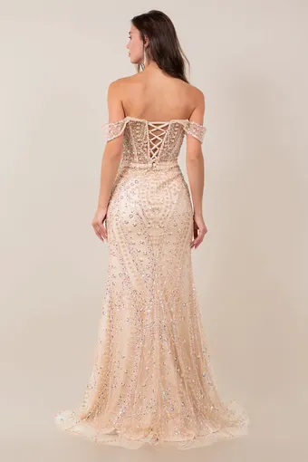 Cinderella Couture 8516J Rhiestone Glam Tulle Gown #10 backface vertical thumbnail