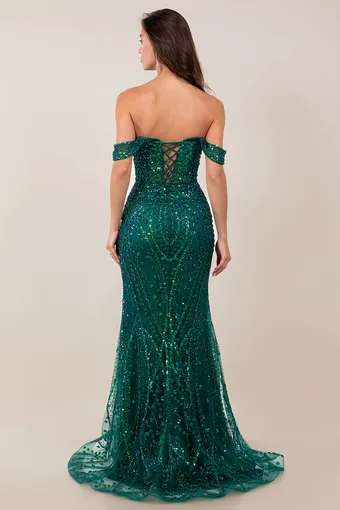 Cinderella Couture 8516J Rhiestone Glam Tulle Gown #14 backface vertical thumbnail