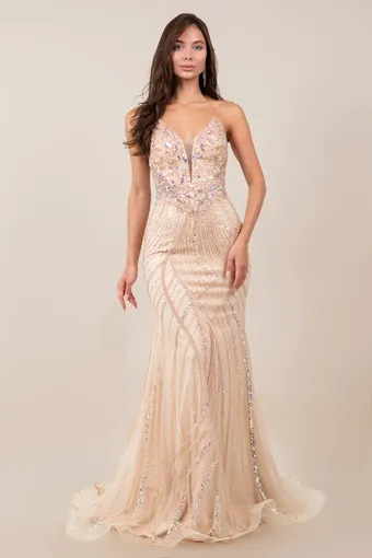 Cinderella Couture 8517J Rhiestone Glam Tulle Gown #4 frontface vertical thumbnail