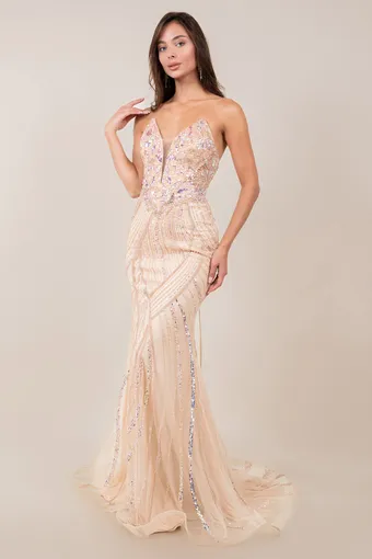 Cinderella Couture 8517J Rhiestone Glam Tulle Gown #7 frontface vertical thumbnail