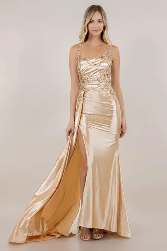 Cinderella Couture 8523J Embo Lace Satin Drape #2 frontface vertical thumbnail