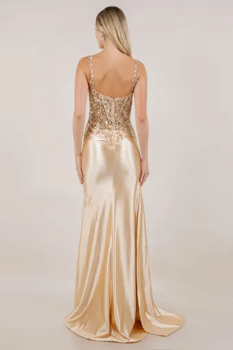 Cinderella Couture 8523J Embo Lace Satin Drape #8 backface vertical thumbnail