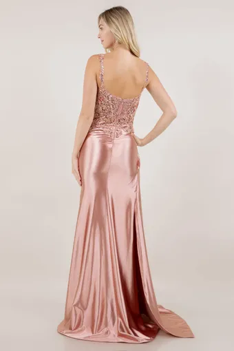 Cinderella Couture 8523J Embo Lace Satin Drape #9 backface vertical thumbnail