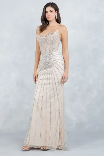 Cinderella Couture 8576J Glam Rhinestone Tulle Gown #10 frontface vertical thumbnail