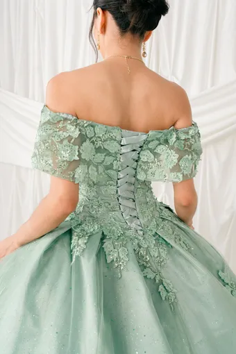 Cinderella Couture 8045J 3D Applique Lace On Tulle #5 backface vertical cropped thumbnail