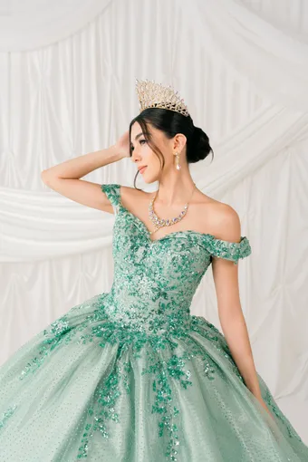 Cinderella Couture 8060J Beaded Embo Lace On Tulle #5 frontface vertical cropped thumbnail